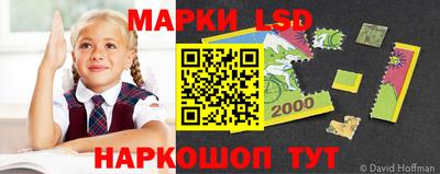дмт Белореченск