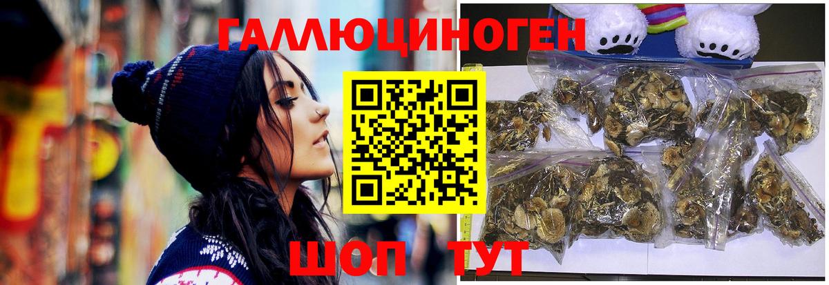 Псилоцибиновые грибы мухоморы Кимовск